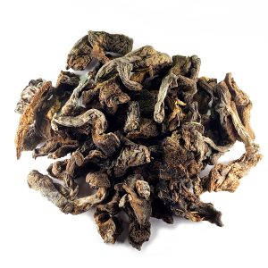 [A051] HONGOS SECOS