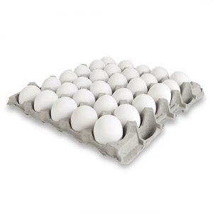 [AA101] HUEVOS X PLANCHA